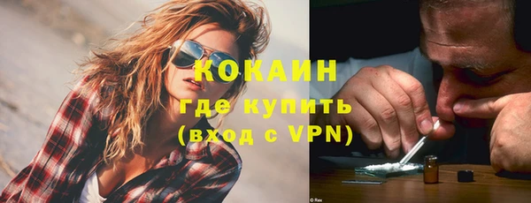 шишки Аркадак