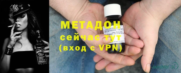 шишки Аркадак