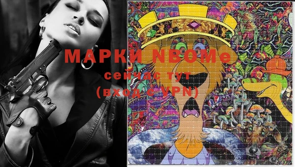 шишки Аркадак