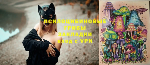 шишки Аркадак