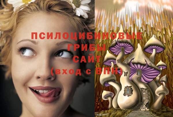 шишки Аркадак