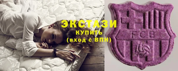 стаф Алзамай