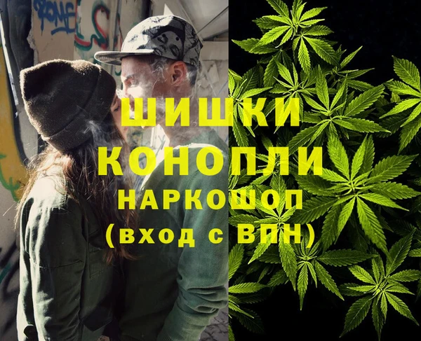 амф Арсеньев