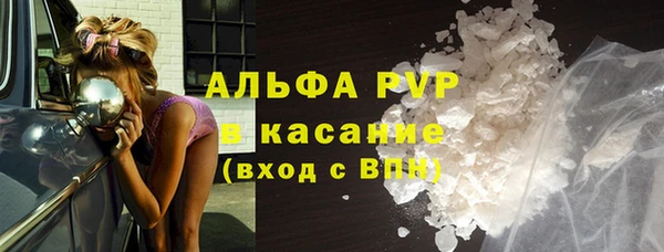 стаф Алзамай